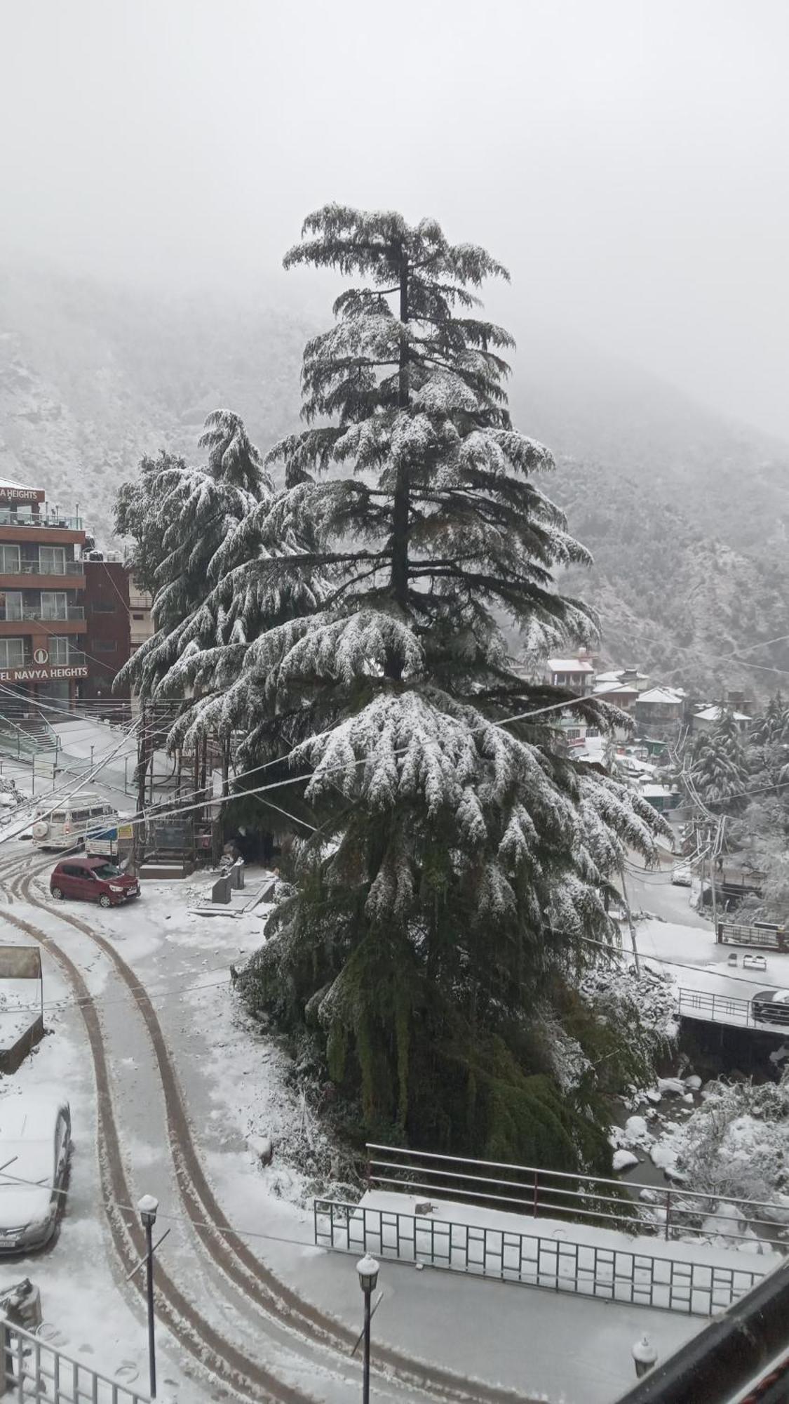 Moonlight Ridge McLeod Ganj Exterior foto