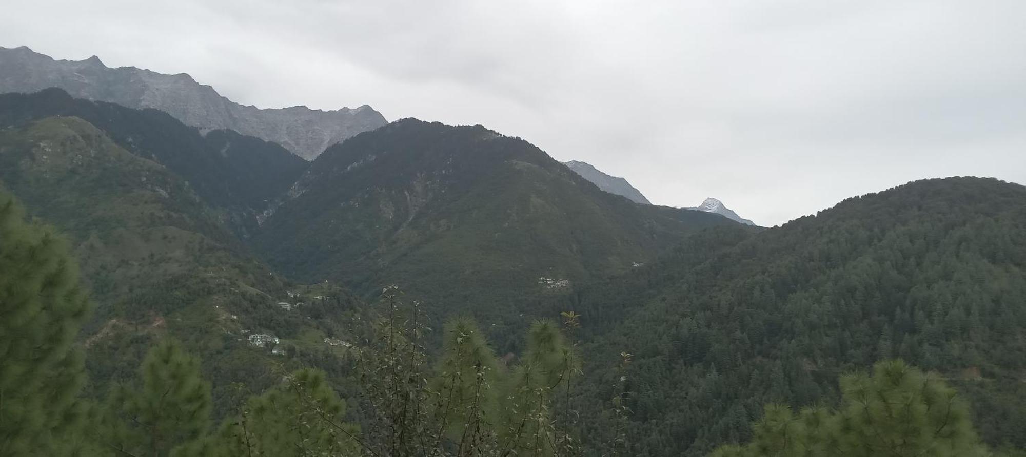 Moonlight Ridge McLeod Ganj Exterior foto